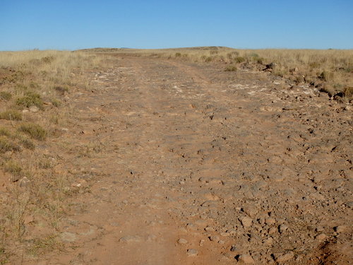 GDMBR: Rough Road.